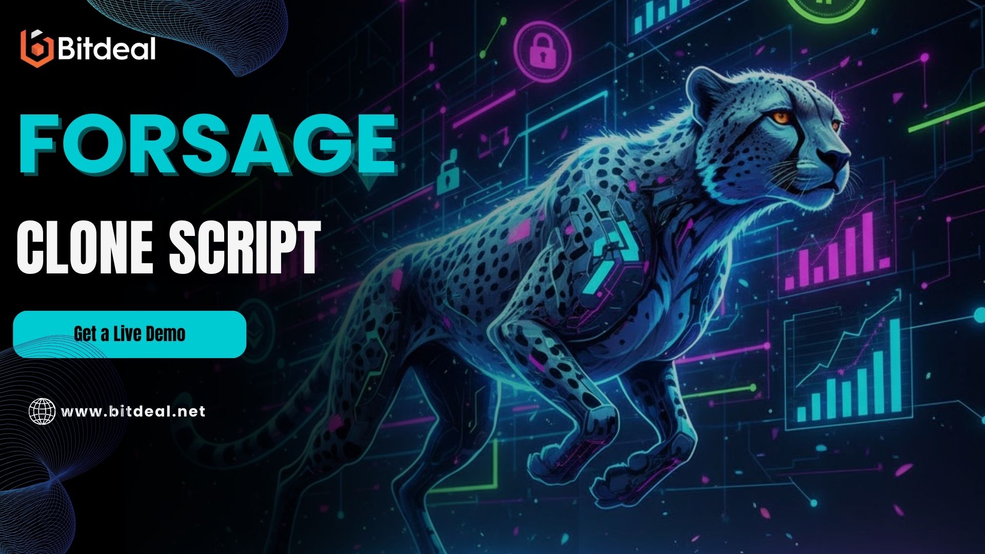 Bitdeal (41).jpg
